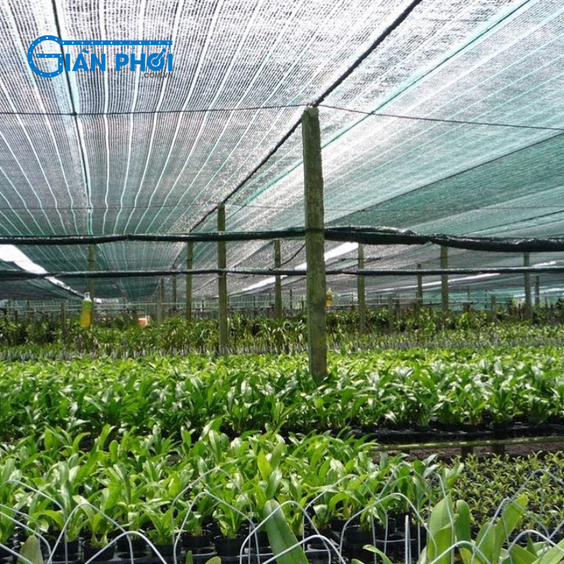 Bạt che nắng cho cây giá rẻ, uy tín, chất lượng
